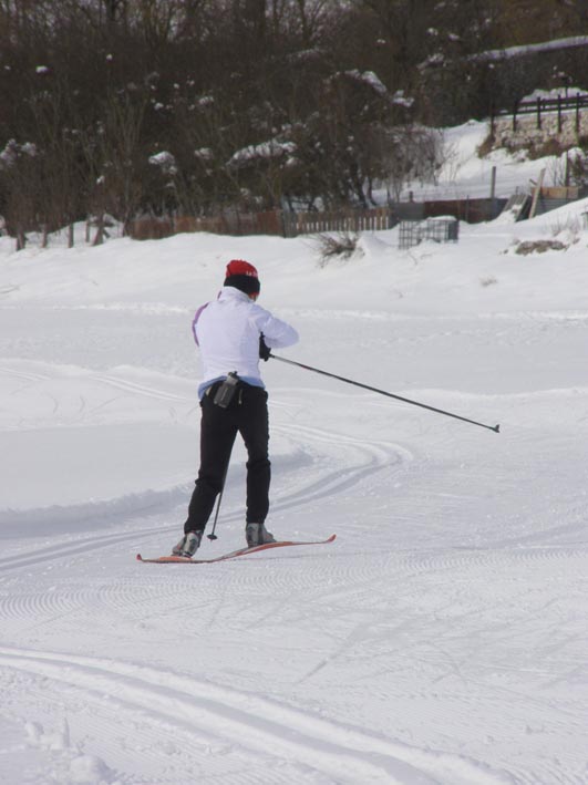 ski/orientation